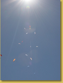 Gleitschirmfliegen in Südafrika